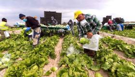 La crisi climatica costa 284 euro ad italiano, è record: danni per un miliardo nell’agricoltura