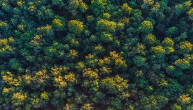 Ripristino della natura, il Regolamento Ue diventa legge ed entra in vigore il 18 agosto