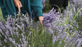 G7 Agricoltura, al centro giovani, crisi idrica e parità di genere