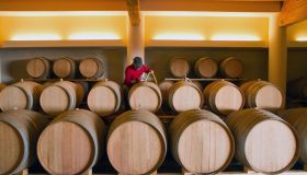 Vino, le migliori cantine d’Italia premiate da Tre Bicchieri 2025