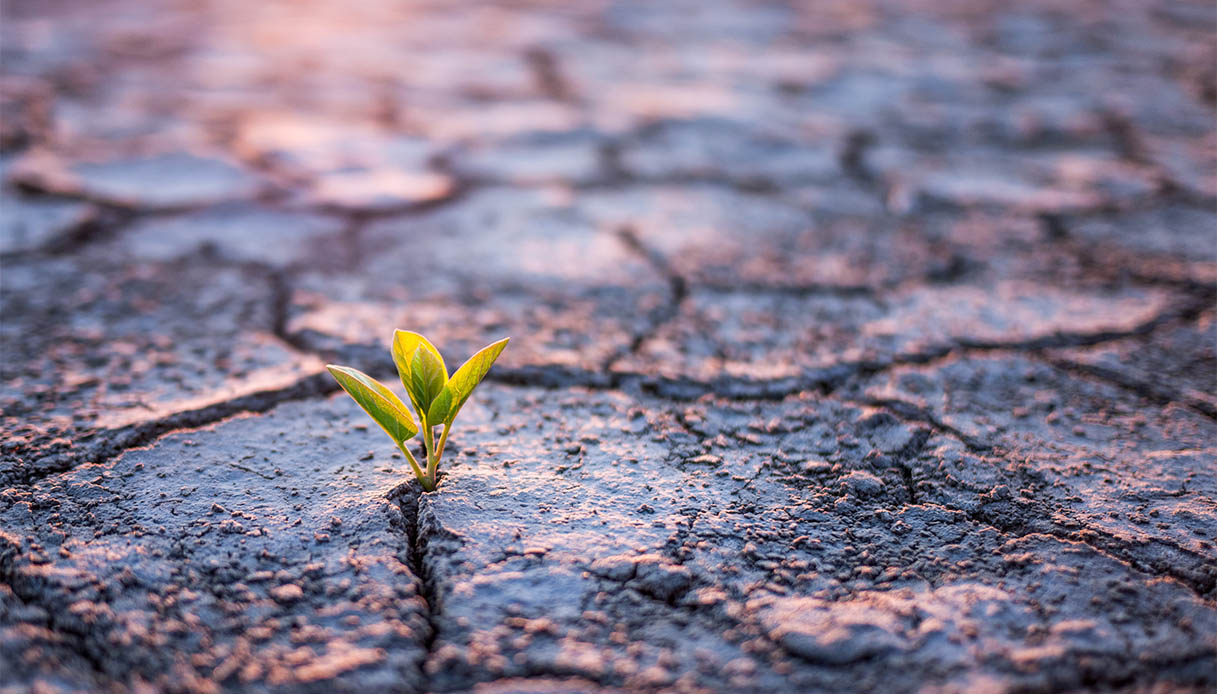 Cambiamento climatico 