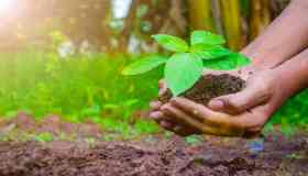 La convenienza di investire nella biodiversità: sostenibilità e rendimento