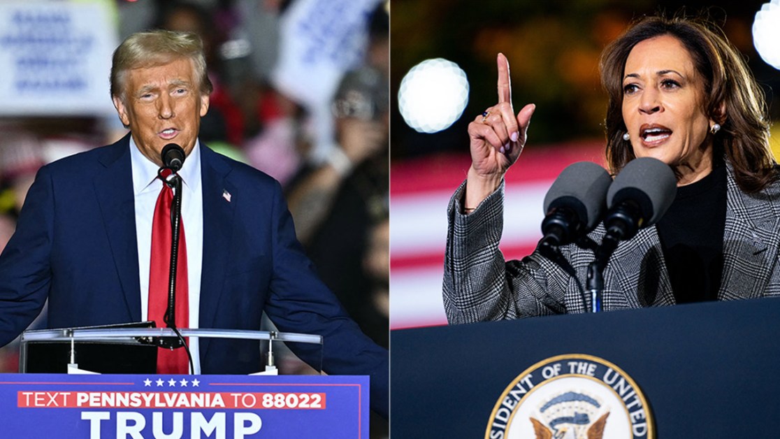 Elezioni Usa 2024, la sfida tra Kamala Harris e Donald Trump