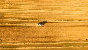 Giornata Nazionale dell’Agricoltura, in Italia è sostenibile solo il 20% delle coltivazioni