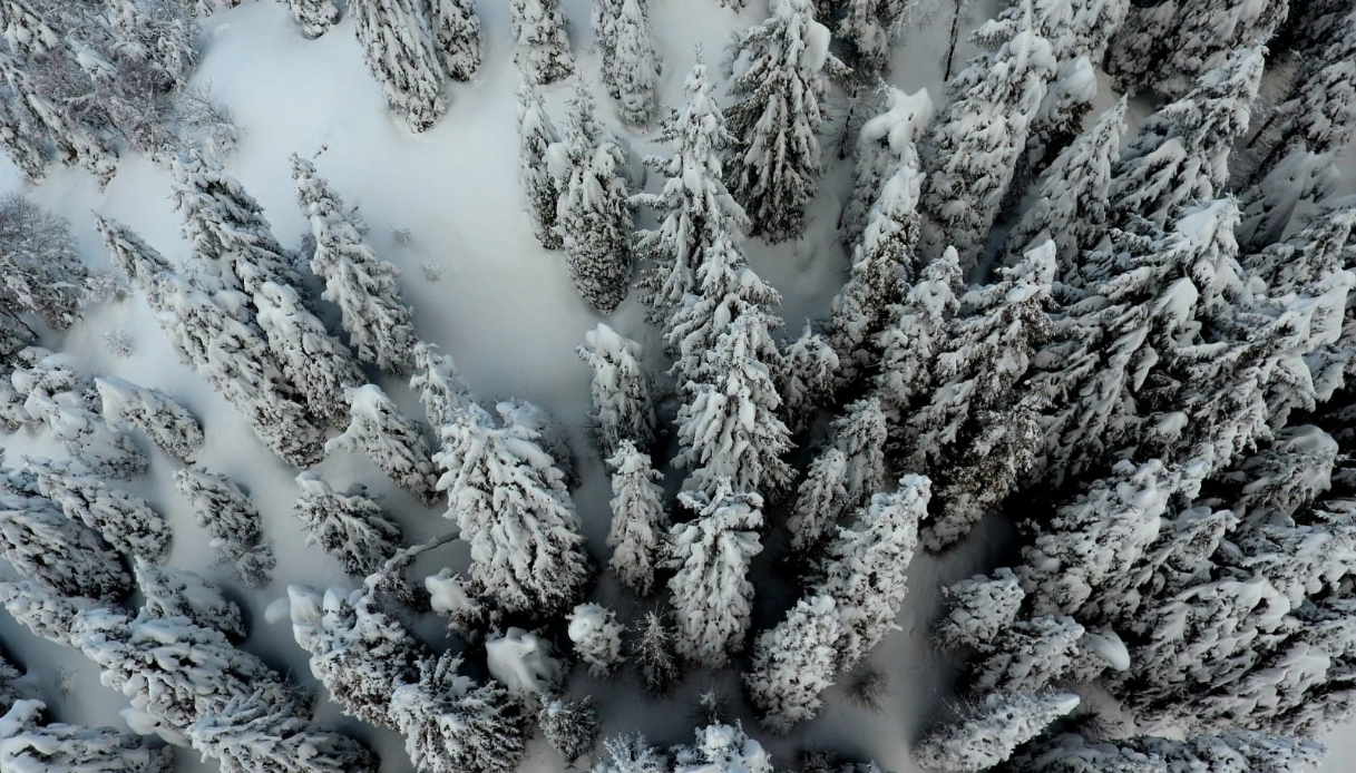 Per inaugurare il 2025 le piste innevate dell’Oasi Zegna sono la scelta perfetta