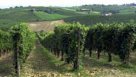 Leone Alato di Generali prima azienda food a ottenere l’approvazione Sbti per le emissioni