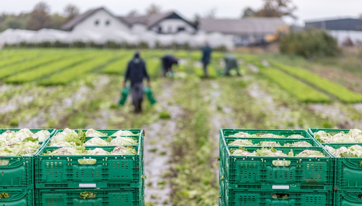 Con aumento dei prezzi dei carburanti le imprese agroalimentari italiane hanno perso 9 miliardi