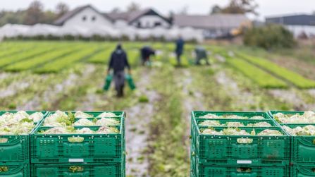 Con aumento dei prezzi dei carburanti le imprese agroalimentari italiane hanno perso 9 miliardi