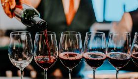 Enoturismo in Italia, Gen Z traina la crescita: social e sostenibilità i nuovi trend