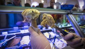 Gambero Rosso rifiutato da una gelateria, feroce critica al sistema dei Tre Coni