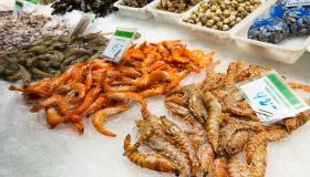 Aumentano le importazioni di pesce straniero, solo il 10% è Made in Italy: come riconoscerlo
