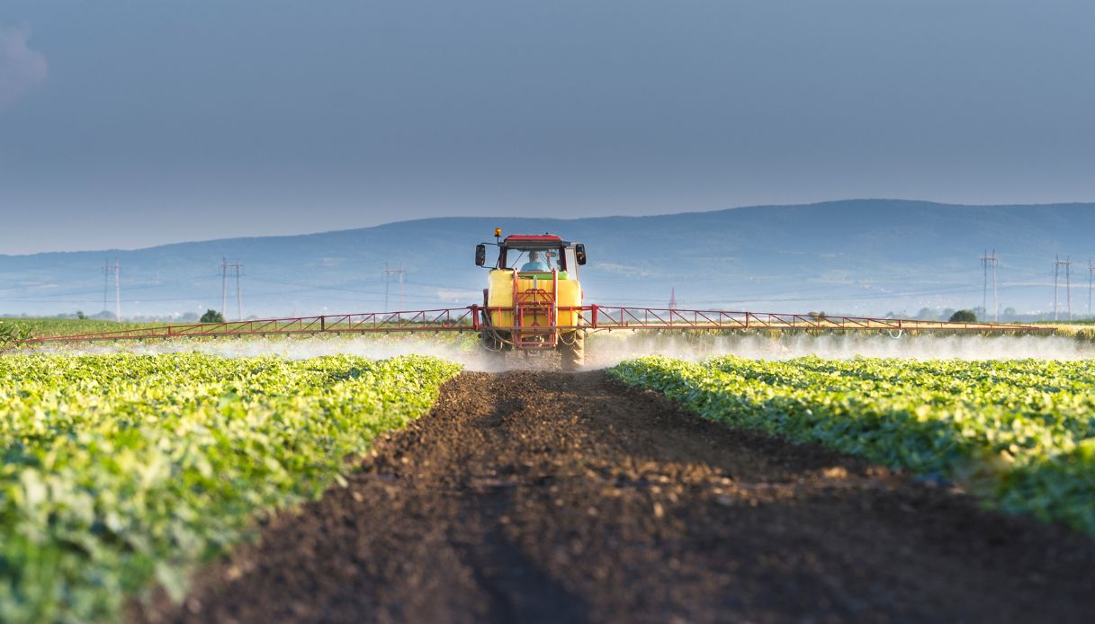 L’accordo Ue India minaccia il cibo italiano con prodotti a bosso costo e concorrenza sleale