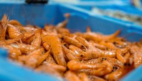 Fermo pesca per i gamberi, diverse le regioni coinvolte in Italia