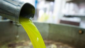 Il 38,8% dell’olio DOP/IGP si trova in Puglia ma in Italia aumentano le giacenze straniere