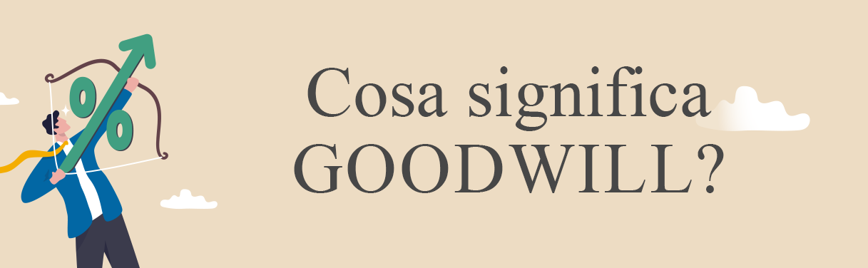Goodwill