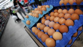 Crisi delle uova, prezzi in aumento in Italia: è l’impatto dell’aviaria