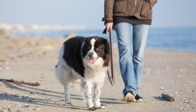 Pet economy in Italia, un mercato da 6,8 miliardi che non conosce crisi