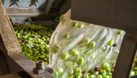 Made Green in Italy, la certificazione che premia i prodotti sostenibili (e pochi conoscono)