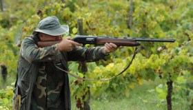 Ddl sulla caccia, dai fucili ai giorni consentiti: tutte le novità