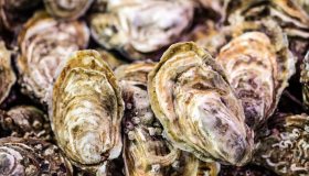 Ostriche contaminate richiamate dai supermercati per norovirus, i lotti da evitare