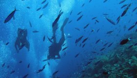 Clima, cresce la desertificazione oceanica a causa del cambiamento climatico