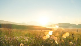 Overshoot Day per l’Italia, il 6 maggio abbiamo finito le risorse naturali del 2025