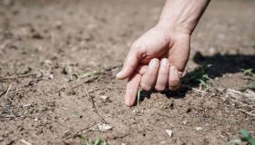 Siccità in Italia, senz’acqua ogni ettaro perde 13.500 euro