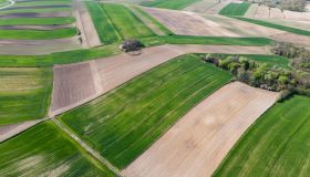 La prelazione agraria del confinante: uno sguardo alla prassi