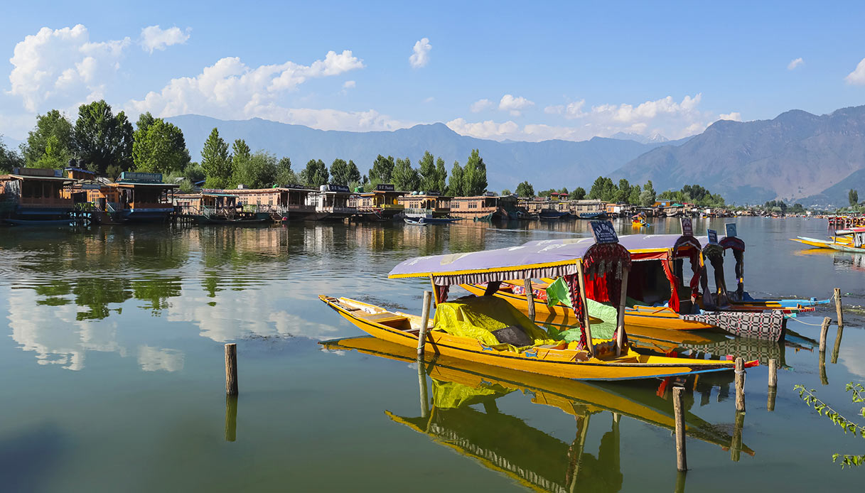 Kashmir Mbel Poco