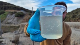 Batteri anti metallo per bonificare uno dei suoli più inquinati d’Italia