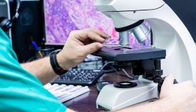 I vantaggi della CLEM, microscopia ottica ed elettronica insieme