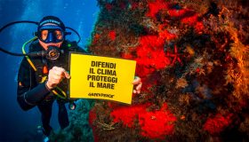 Mediterraneo in crisi, tre gesti per salvare il nostro mare d’estate