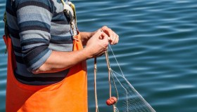 Fermo pesca da agosto a ottobre: in quali regioni scatta lo stop