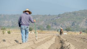 Disoccupazione a rischio, chi può perdere l’indennità
