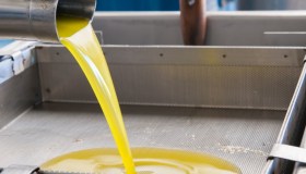 Giù i prezzi dell’olio d’oliva, ma l’extravergine italiano costa 9 euro al kg