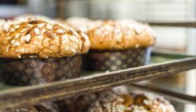 Balocco rinnova il Cda dopo i lutti in famiglia, il nuovo Ad ha 28 anni