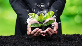 Capitalismo sostenibile o greenwashing? I Ceo europei alla prova dei bonus Esg