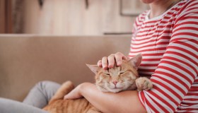 I permessi retribuiti per assistere cane e gatto potrebbero diventare legge