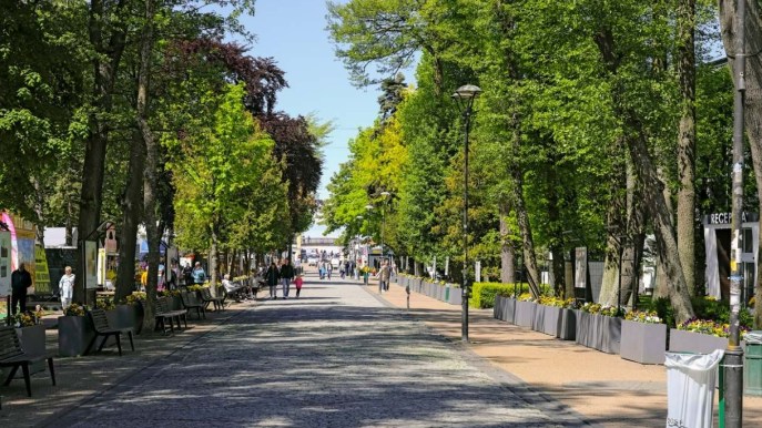 Il 22 settembre è la Giornata mondiale senza auto, le iniziative in Italia