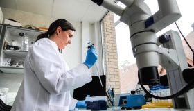 Ue, l’Italia non punta (abbastanza) sul futuro: ancora pochi fondi alla ricerca