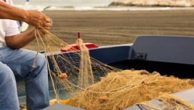 Fermo pesca nel Tirreno, ripresa nell’Adriatico: quale pesce di stagione comprare, quale evitare