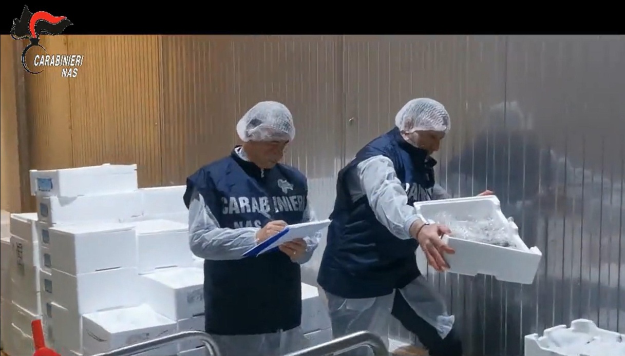 Sequestro a Catania, 110 tonnellate di pesce