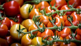 Focolaio di salmonella, l’Europa punta il dito contro i pomodorini siciliani