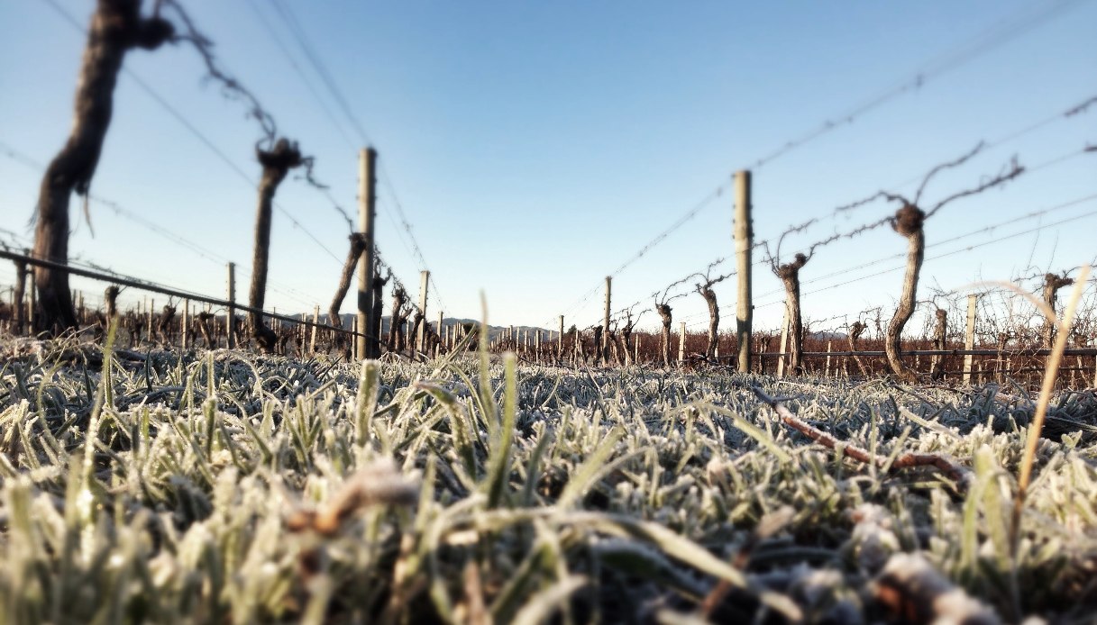 ottobre 2025 tra i pi249 caldi di sempre si risparmia sulle bollette ma non sul cibo da Quifinanza.it ottobre 2025 tra i pi249 caldi di sempre si risparmia sulle bollette ma non sul cibo