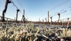 Ottobre 2025 tra i più caldi di sempre, si risparmia sulle bollette ma non sul cibo