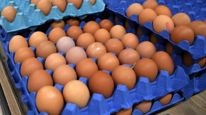 Maxi richiamo di uova per rischio salmonella: i lotti ritirati