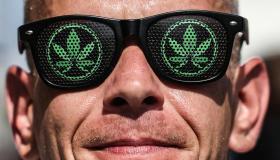 Cannabis light, il Consiglio di Stato salva le aziende e fa infuriare il Governo