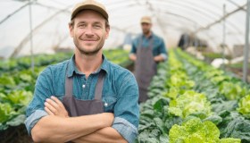 Manovra 2026, tutti gli aiuti e le novità per l’agricoltura