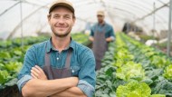 Legge di Bilancio 2026, tutti gli aiuti, i bonus e le novità per l’agricoltura