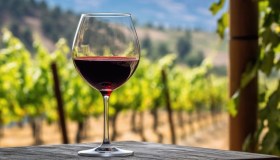 Premiati i migliori vini dell’Etna, 14 etichette hanno ottenuto il premio Tre Bicchieri 2026